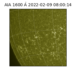 saia - 2022-02-09T08:00:14.126000