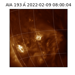 saia - 2022-02-09T08:00:04.843000