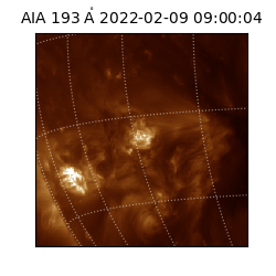 saia - 2022-02-09T09:00:04.843000