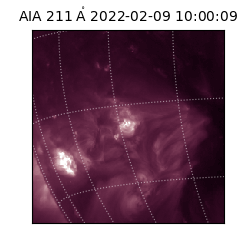 saia - 2022-02-09T10:00:09.630000