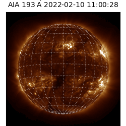 saia - 2022-02-10T11:00:00