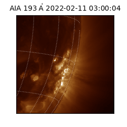 saia - 2022-02-11T03:00:04.843000
