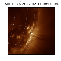 saia - 2022-02-11T08:00:04.843000