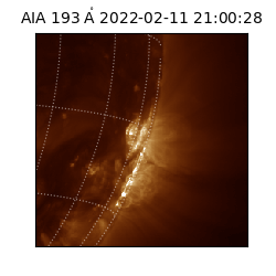 saia - 2022-02-11T21:00:28.843000