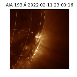 saia - 2022-02-11T23:00:16.843000