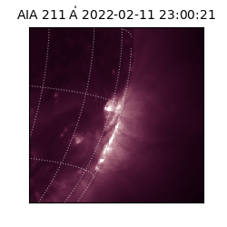 saia - 2022-02-11T23:00:21.622000