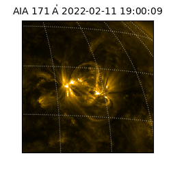 saia - 2022-02-11T19:00:09.350000