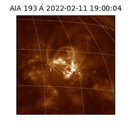 saia - 2022-02-11T19:00:04.843000