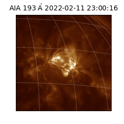 saia - 2022-02-11T23:00:16.843000