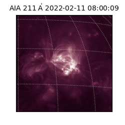 saia - 2022-02-11T08:00:09.630000