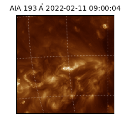 saia - 2022-02-11T09:00:04.846000