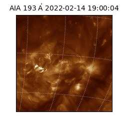saia - 2022-02-14T19:00:04.843000