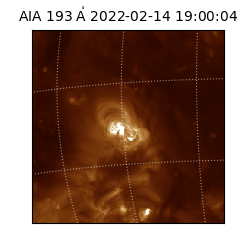 saia - 2022-02-14T19:00:04.843000