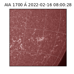 saia - 2022-02-16T08:00:28.745000