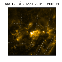 saia - 2022-02-16T09:00:09.350000