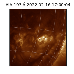 saia - 2022-02-16T17:00:04.843000