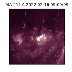 saia - 2022-02-16T09:00:09.626000
