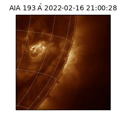 saia - 2022-02-16T21:00:28.843000