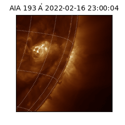 saia - 2022-02-16T23:00:04.843000