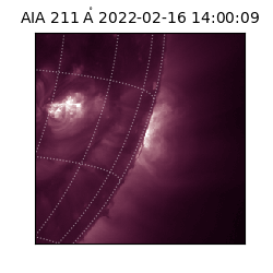 saia - 2022-02-16T14:00:09.623000