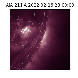 saia - 2022-02-16T23:00:09.632000