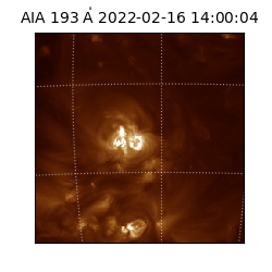saia - 2022-02-16T14:00:04.843000