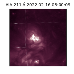 saia - 2022-02-16T08:00:09.626000