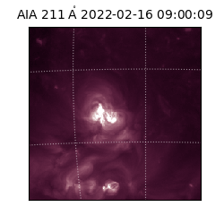 saia - 2022-02-16T09:00:09.626000