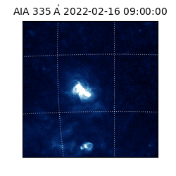 saia - 2022-02-16T09:00:00.618000