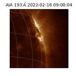 saia - 2022-02-16T09:00:04.843000
