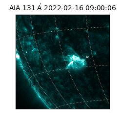saia - 2022-02-16T09:00:06.622000