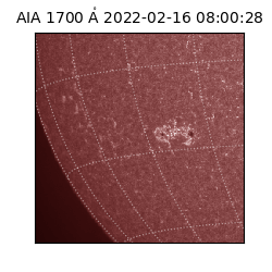 saia - 2022-02-16T08:00:28.745000