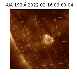 saia - 2022-02-16T09:00:04.843000