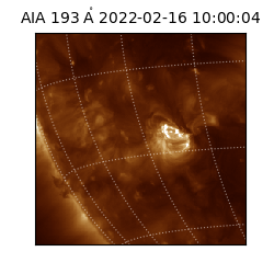 saia - 2022-02-16T10:00:04.843000