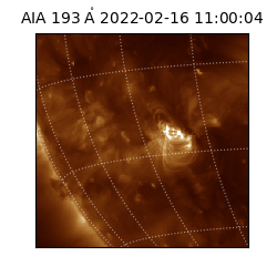 saia - 2022-02-16T11:00:04.843000