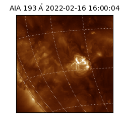 saia - 2022-02-16T16:00:04.843000
