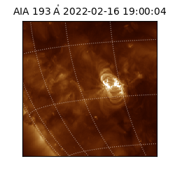 saia - 2022-02-16T19:00:04.843000