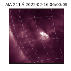 saia - 2022-02-16T06:00:09.632000