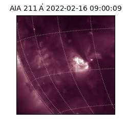 saia - 2022-02-16T09:00:09.626000