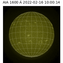 saia - 2022-02-16T10:00:00