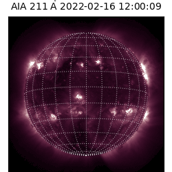 saia - 2022-02-16T12:00:00