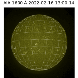 saia - 2022-02-16T13:00:00