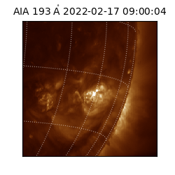 saia - 2022-02-17T09:00:04.843000