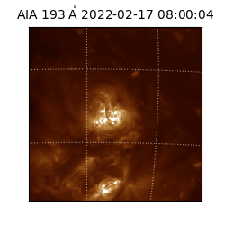 saia - 2022-02-17T08:00:04.843000