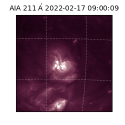 saia - 2022-02-17T09:00:09.626000