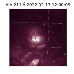 saia - 2022-02-17T12:00:09.617000