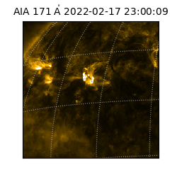 saia - 2022-02-17T23:00:09.350000