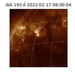 saia - 2022-02-17T08:00:04.843000