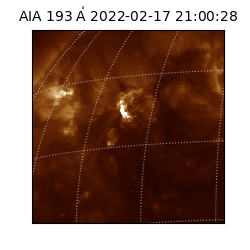 saia - 2022-02-17T21:00:28.843000