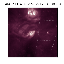 saia - 2022-02-17T16:00:09.626000
